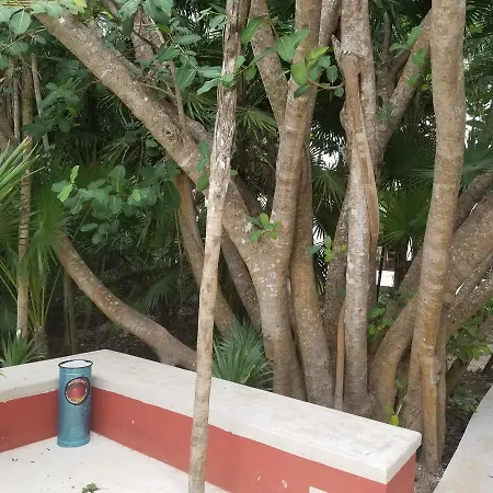 Casa Azul Apartment